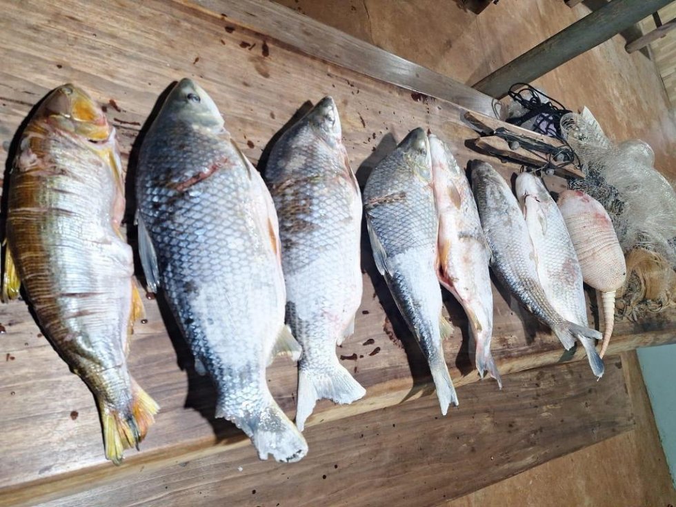 DEODÁPOLIS: PMA PRENDE HOMEM EM FLAGRANTE POR PESCA PREDATÓRIA