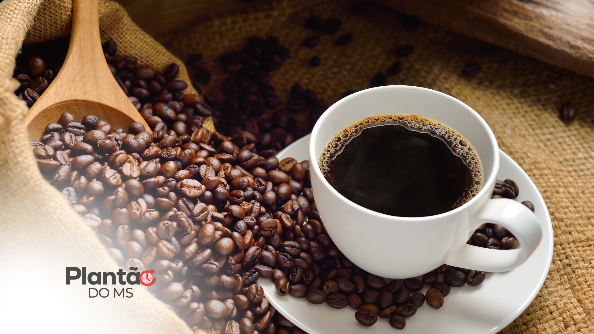"Cafake": café falsificado vendido por R$ 13,99 pode conter impurezas