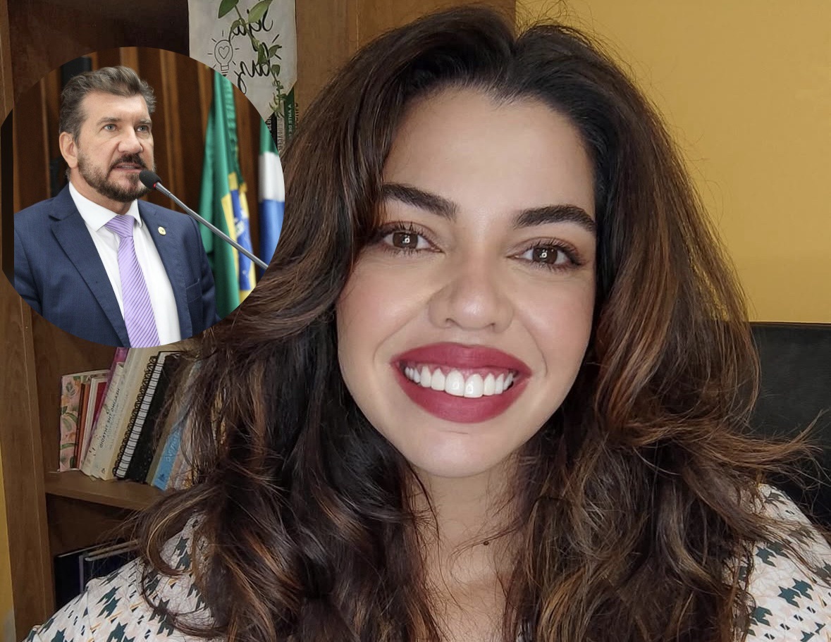 PROJETO NA ASSEMBLEIA CRIA APLICATIVO PARA CONSULTA DE ANTECEDENTES CRIMINAIS