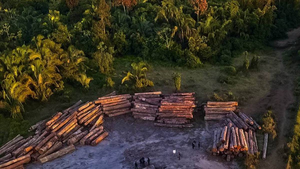 Degradação na Amazônia Bate Recorde e Contrasta com Discurso do Governo